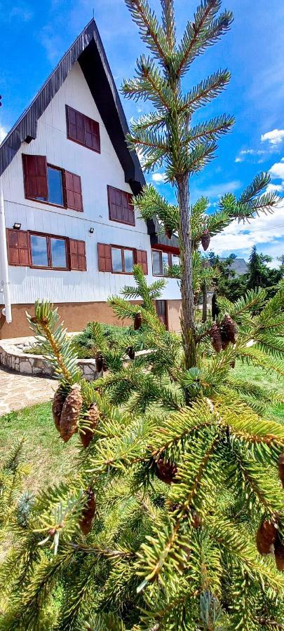 Apartment Relja Златибор Экстерьер фото