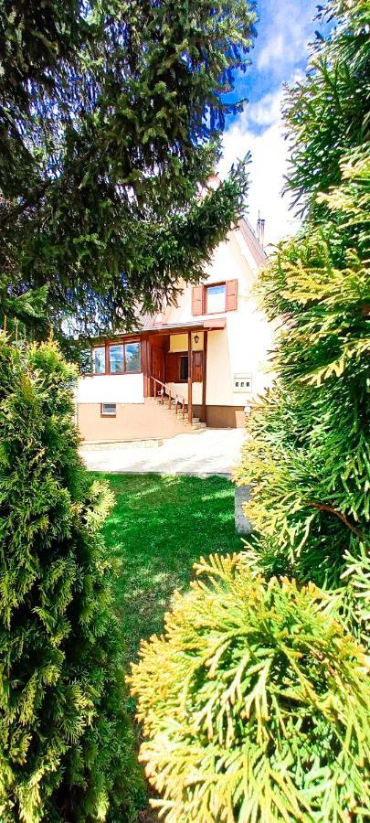 Apartment Relja Златибор Экстерьер фото